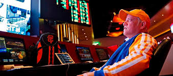 Casino Cat